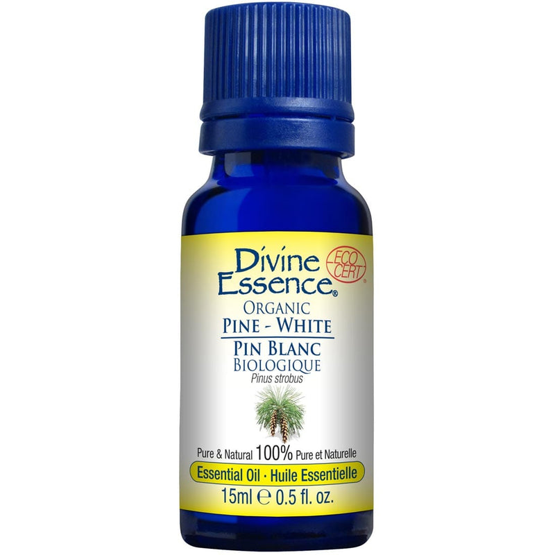 Divine Essence White Pine Essential Oil (Organic), 15ml