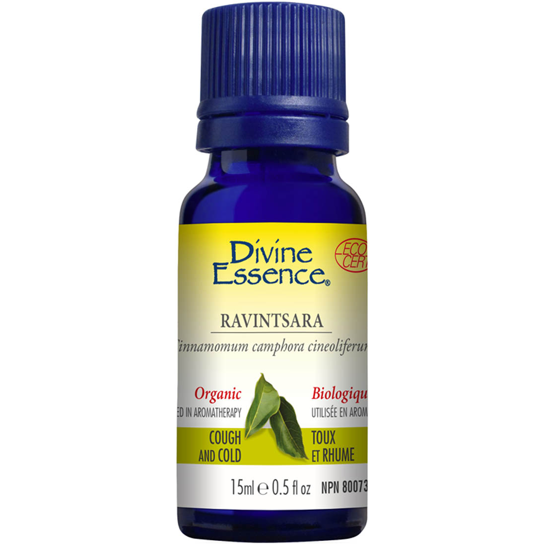 Divine Essence Ravintsara Essential Oil (Organic), 15ml