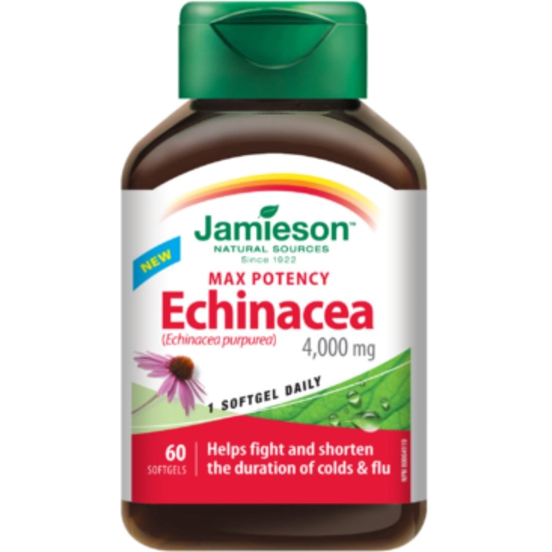 Bee Jamison Jamieson Echinacea Ultra Strength 4000mg, 60 softgels