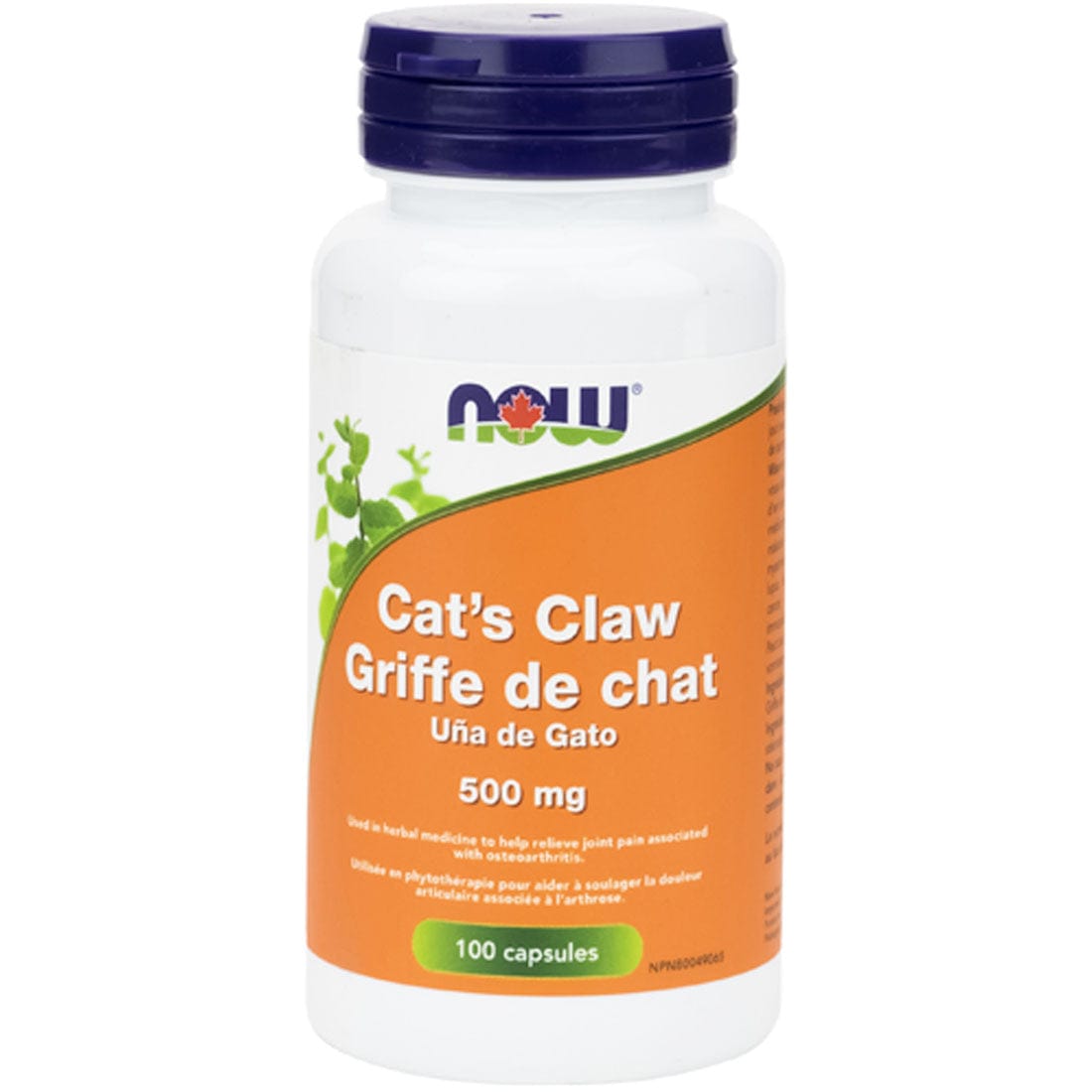 NOW Cat's Claw, 500mg, 100 Capsules