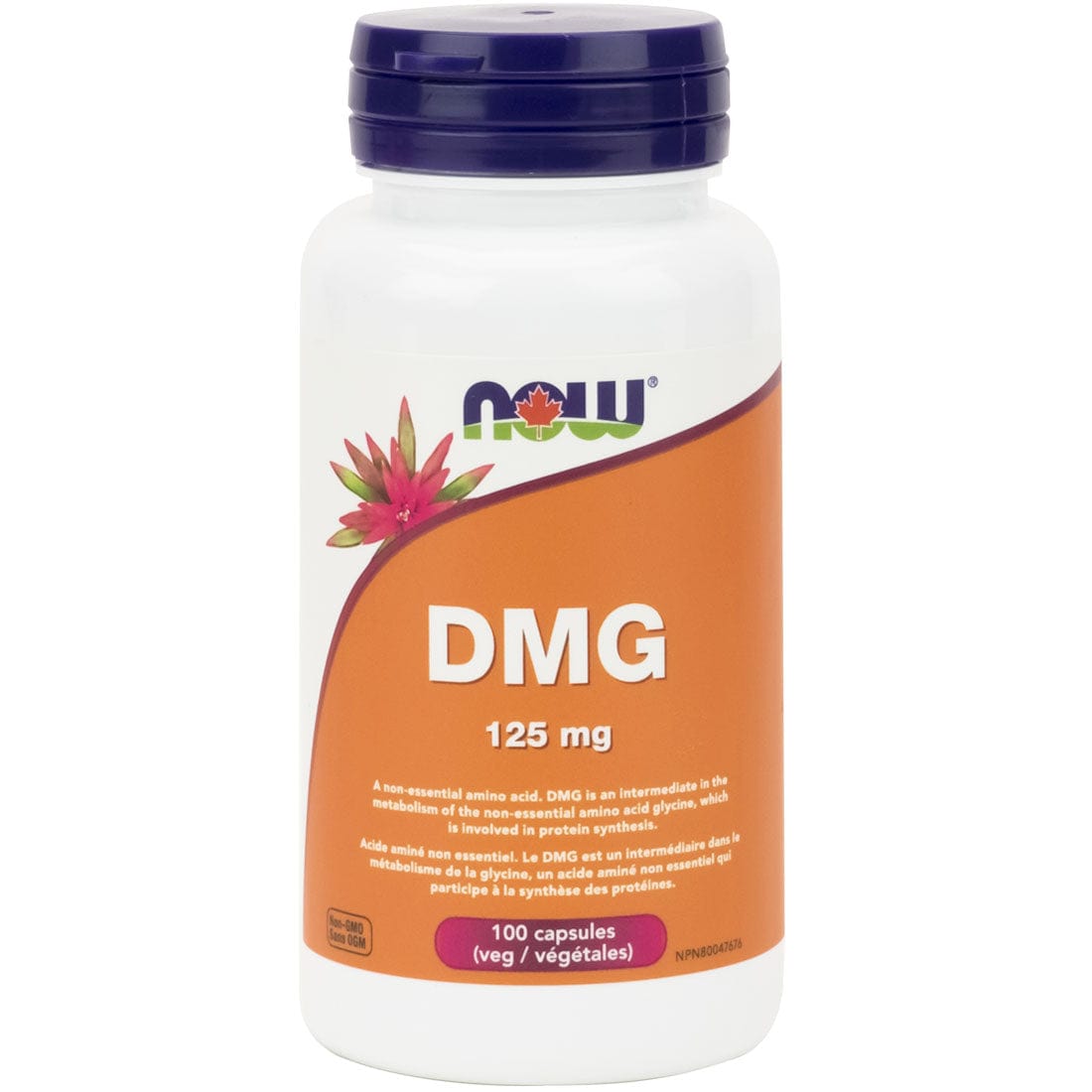 NOW DMG (Dimethylglycine), 125mg, 100 Capsules