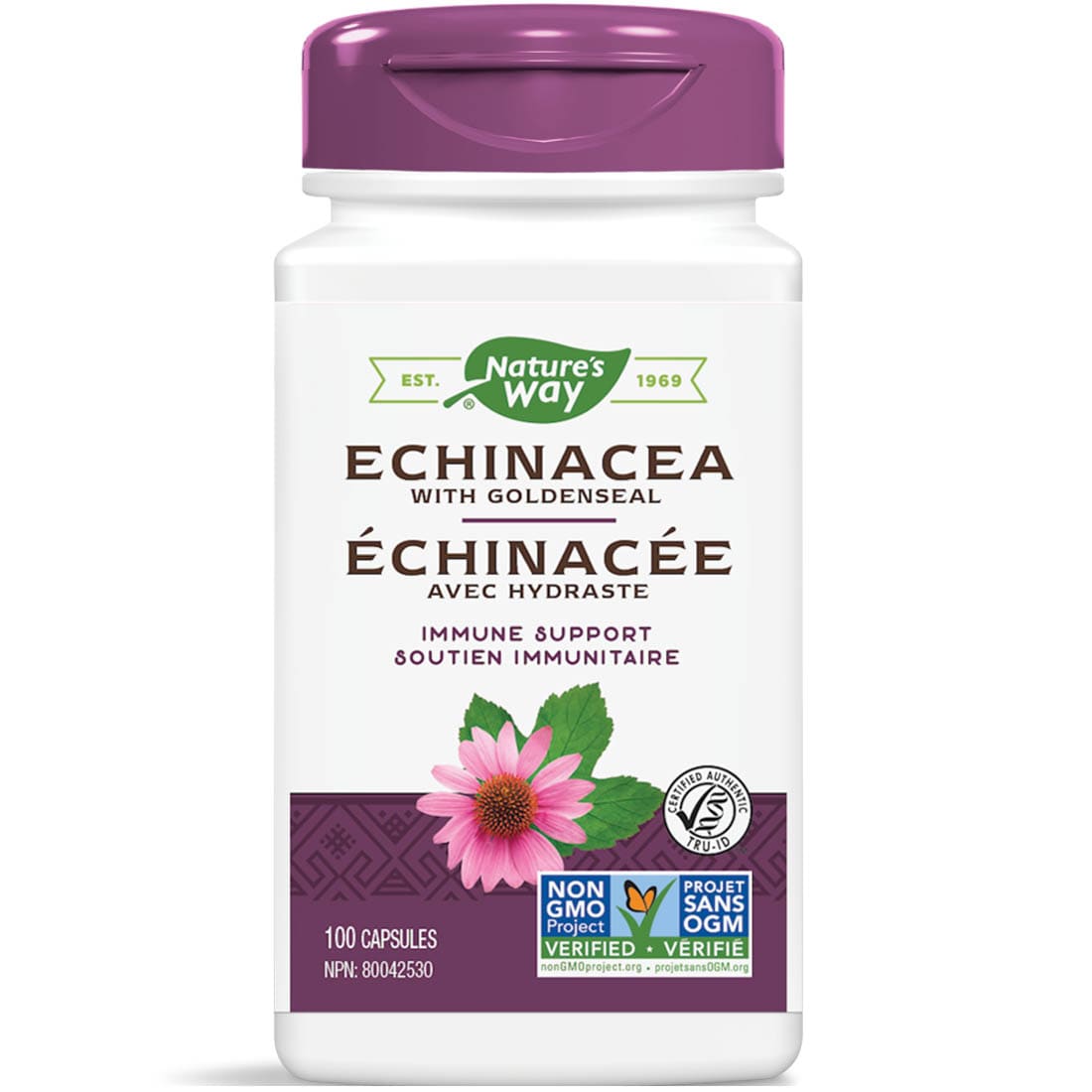 Echinacea Root Capsules 300 Count – 500mg All-Natural Wellness Supplement, Made Fresh In USA