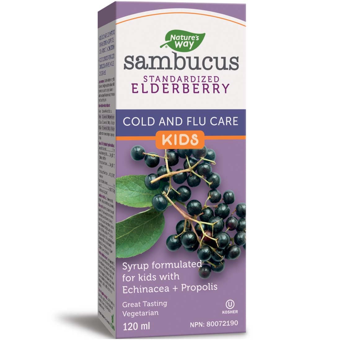 Nature's Way Kids Sambucus Elderberry Cold and Flu Care Syrup (with Echinacea & Propolis), 120ml
