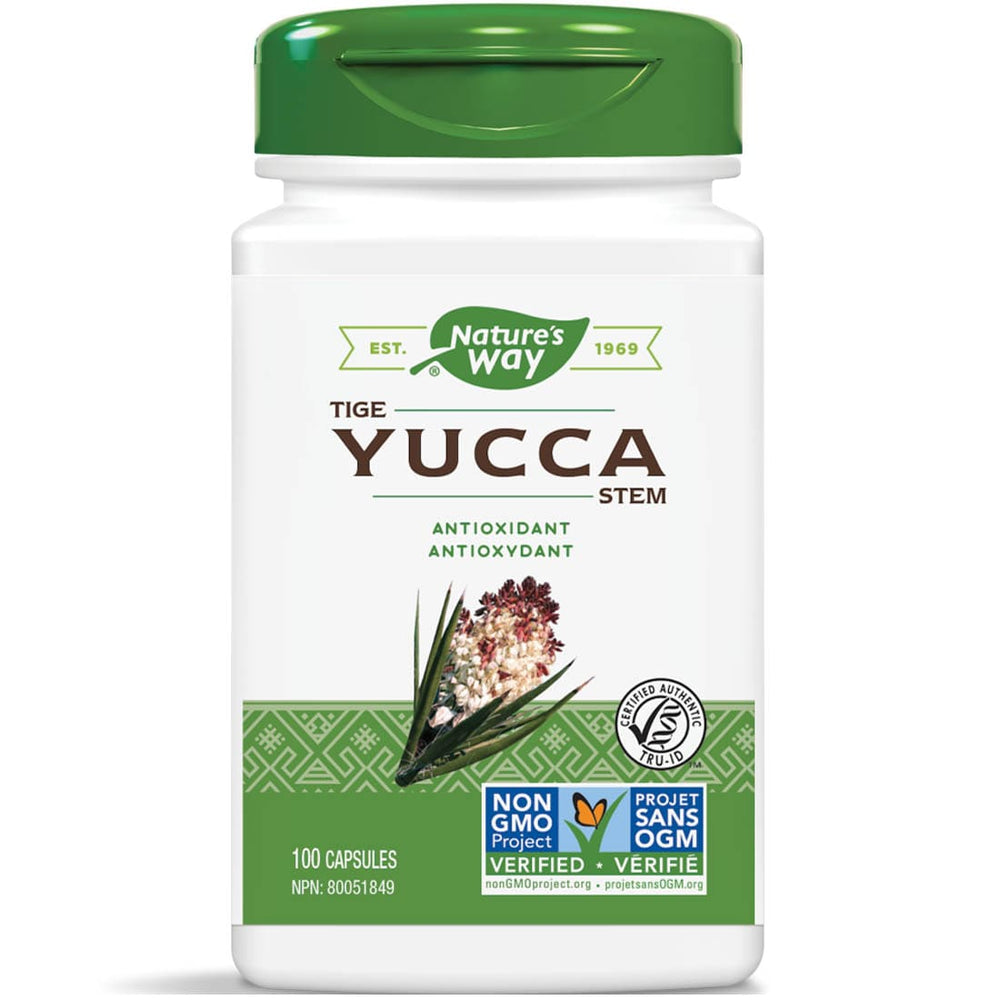 Yucca