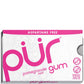 PUR Gum Sugar-Free (Aspartame Free)