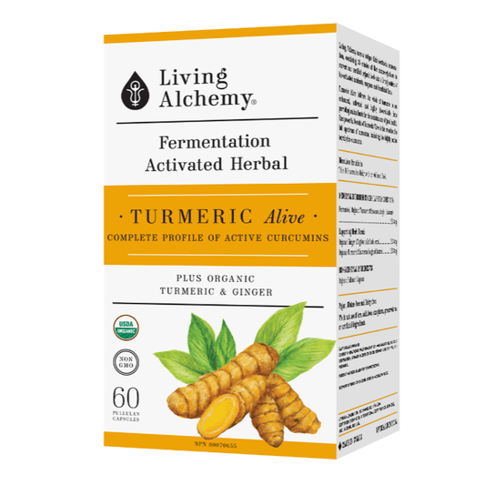 Living Alchemy Turmeric Alive 133.3mg, Fermented Organic Turmeric with Ginger