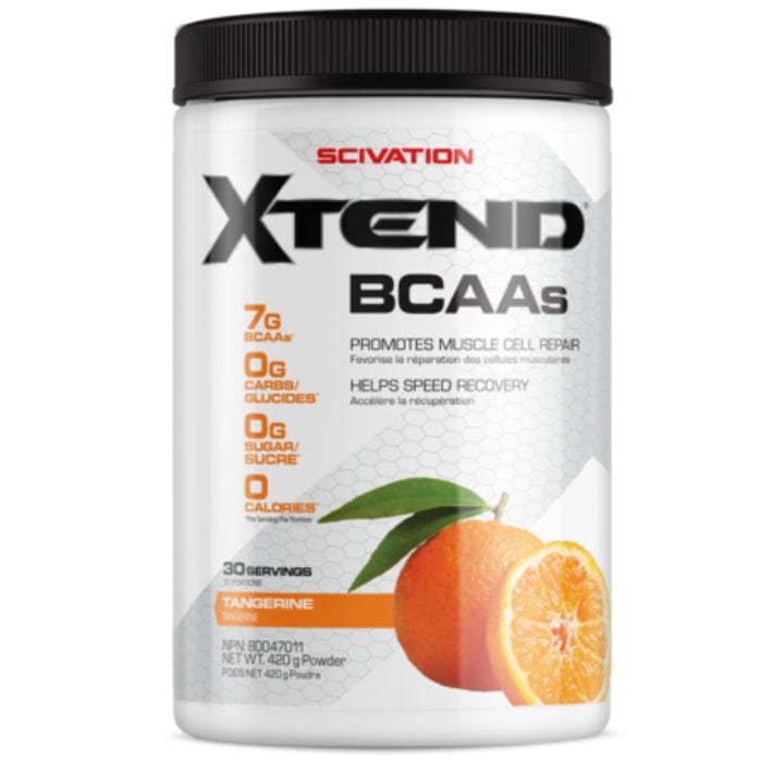 Scivation Xtend Original BCAA Powder