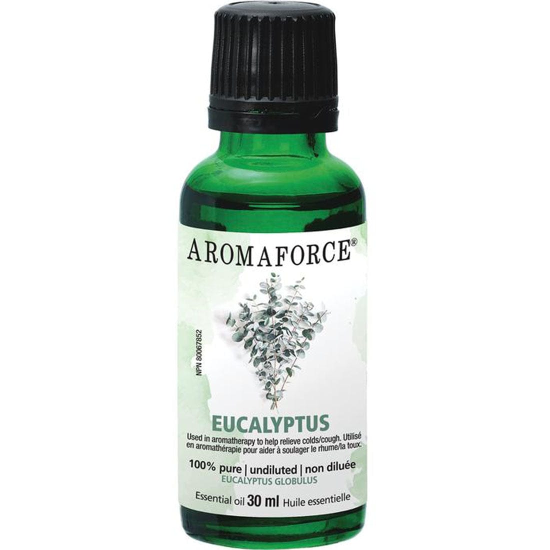 Aromaforce Eucalyptus Essential Oil