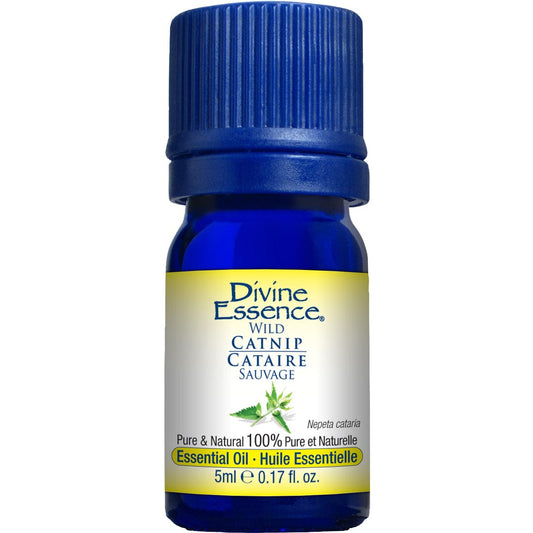 Divine Essence Catnip, Wild, 5ml