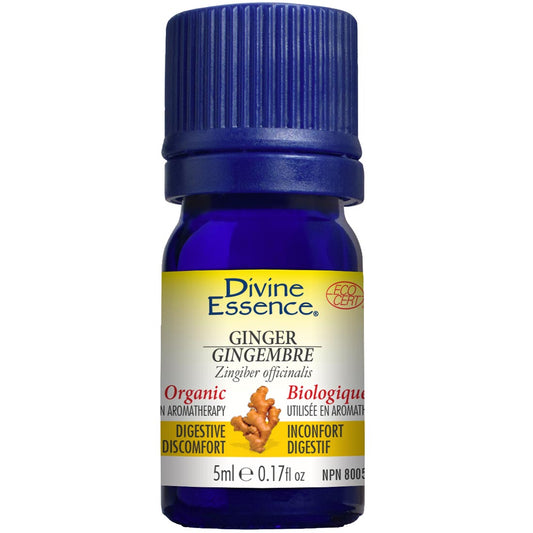 Divine Essence Ginger Essential Oil (Organic), 5ml