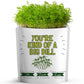 Gift A Green Greeting Cards, You're Kind of a BIG Dill Card, Dill Microgreens