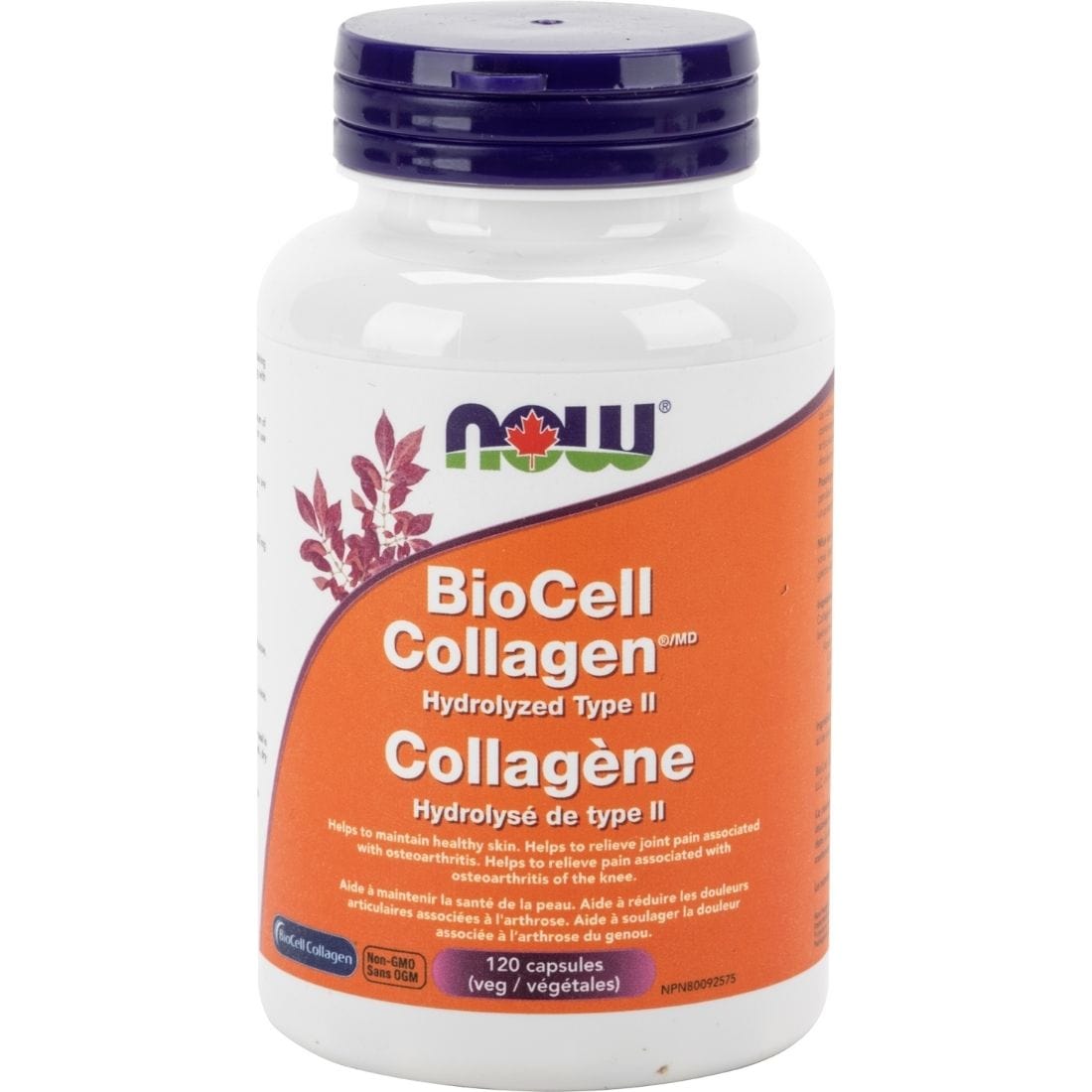Now BioCell Type II Collagen 500mg, 120 Vegetable Capsules