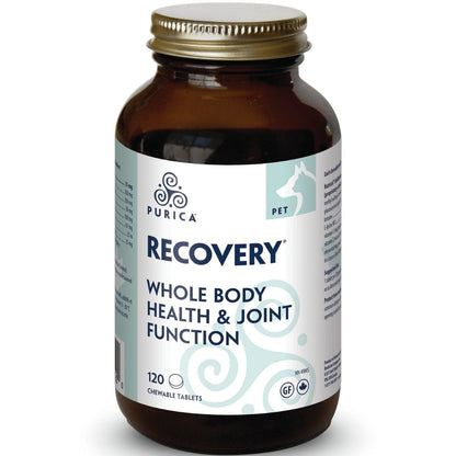 Purica Pet Recovery (Dogs, Cats & Small Animals)