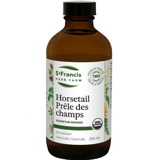 St. Francis Horsetail