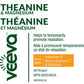 Veeva Theanine & Magnesium Bisglycinate (125mg & 500mg) with B Vitamins, 60 V-Caps